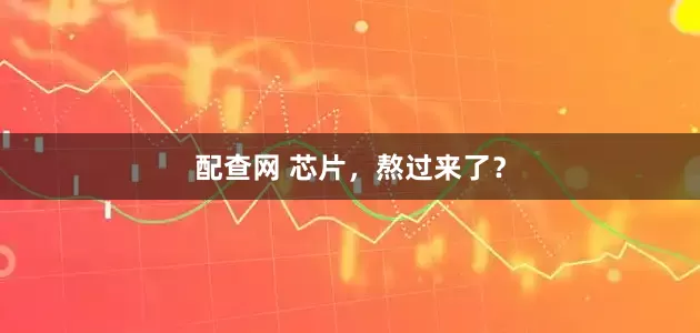 配查网 芯片，熬过来了？