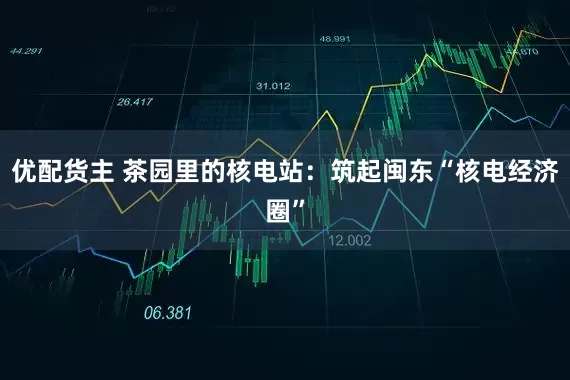 优配货主 茶园里的核电站：筑起闽东“核电经济圈”